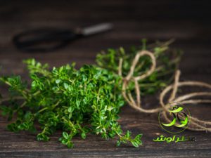 خرید به صرفه اویشن باغی