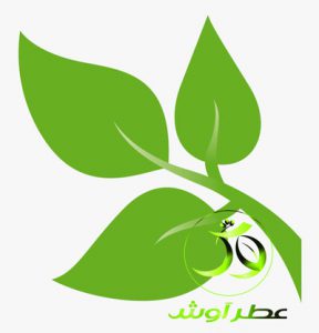 ایران رویشگاه ارزنده گیاهان دارویی